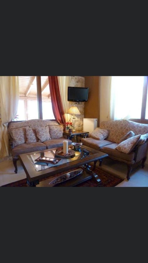 Aetoma Suites Synikia Mesi Trikalon 외부 사진