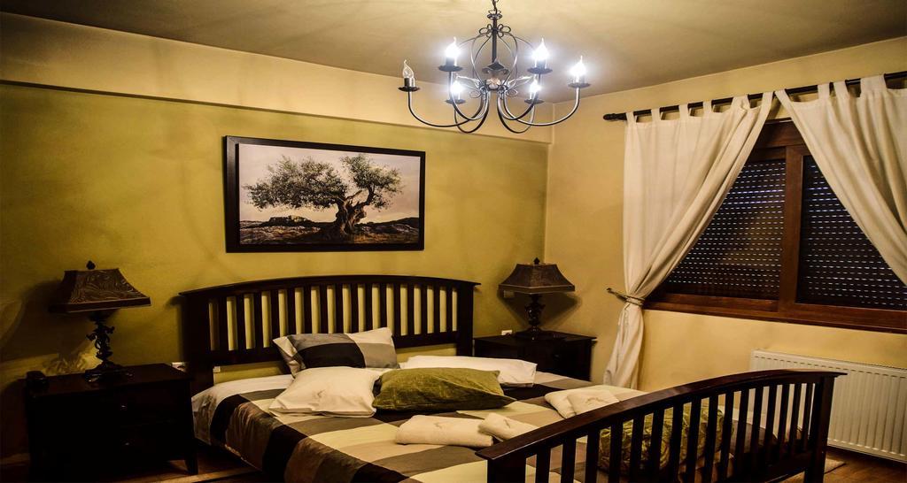 Aetoma Suites Synikia Mesi Trikalon 외부 사진